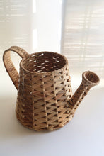 Load image into Gallery viewer, WATER HYACINTH PLANTER