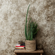 Load image into Gallery viewer, BANANA BARK PLANTER
