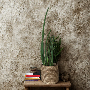 BANANA BARK PLANTER