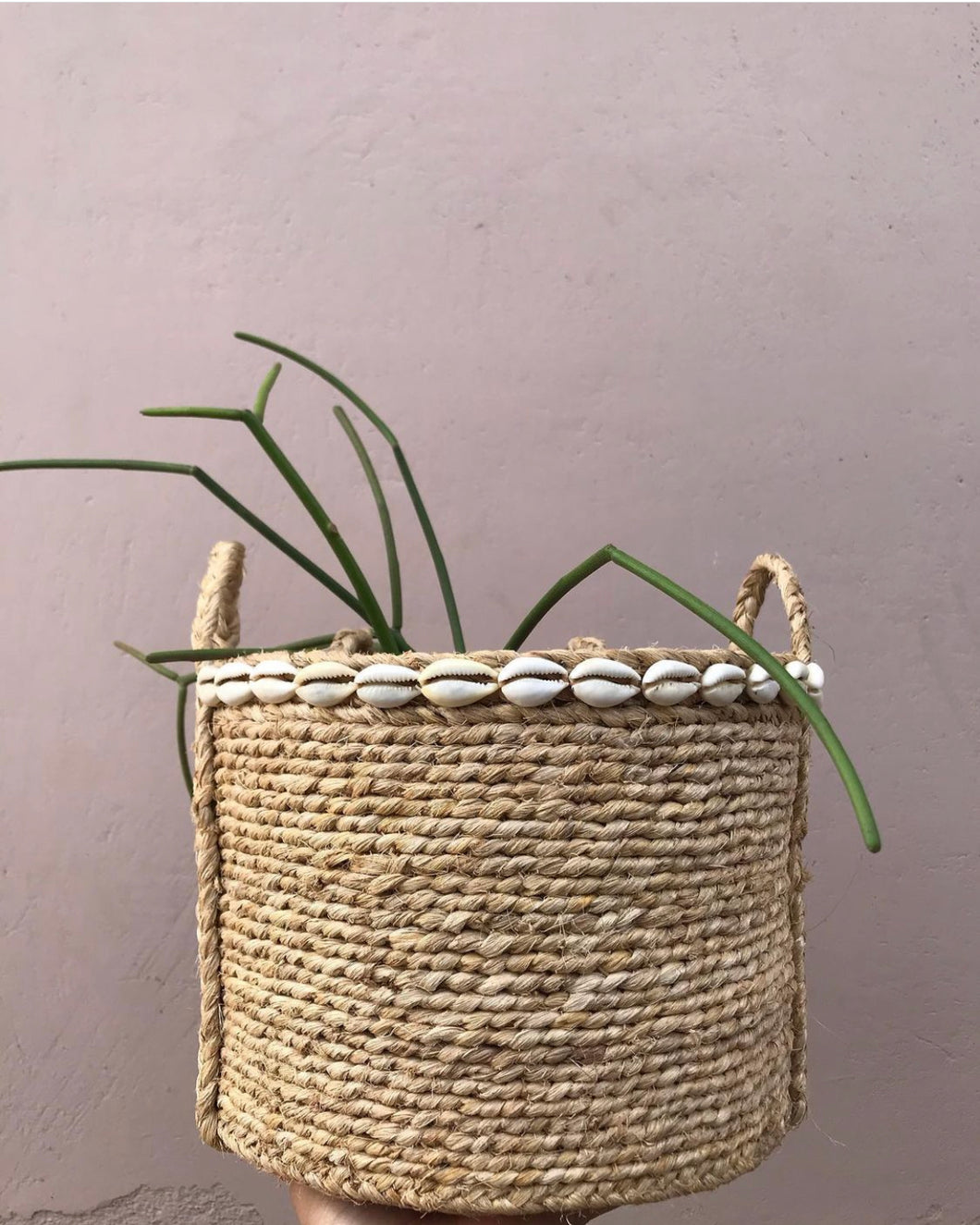 BANANA FIBRE PLANTER