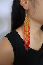 Load image into Gallery viewer, RUNWAY NAGALAND EARRING
