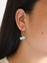 Load image into Gallery viewer, RUNWAY NAGALAND GTJ EARRING
