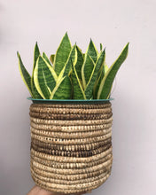 Load image into Gallery viewer, BANANA BARK MULTI-USE BASKET/PLANTER
