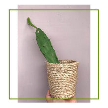 Load image into Gallery viewer, Banana Fibre Utility Basket
